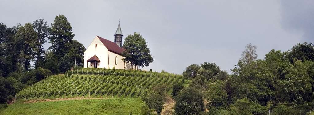 Hotel Schwarzwaldhotel Gengenbach